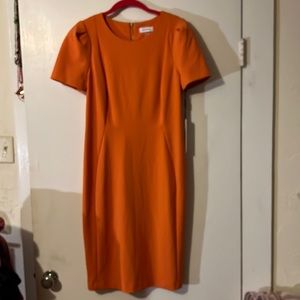 NWT Calvin Klein  dress size 12